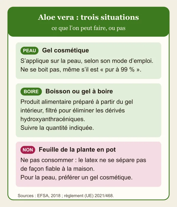 Trois situations avec l’aloe vera : le gel cosmétique s’applique sur la peau et ne se boit pas ; la boisson ou le gel à boire est un aliment préparé à partir du gel intérieur filtré, à consommer selon la quantité indiquée ; la feuille de la plante en pot ne doit pas être consommée, car son latex ne se sépare pas de façon fiable à la maison.